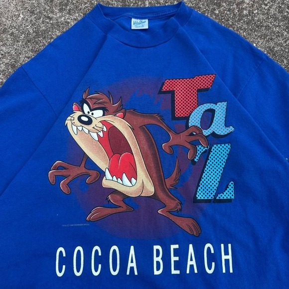 Velva Sheen Other - Vintage 90s Velva Sheen Taz Cocoa Beach Looney Tunes Tee Blue Large (d11)